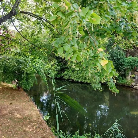 Kota Kalou Joli T2